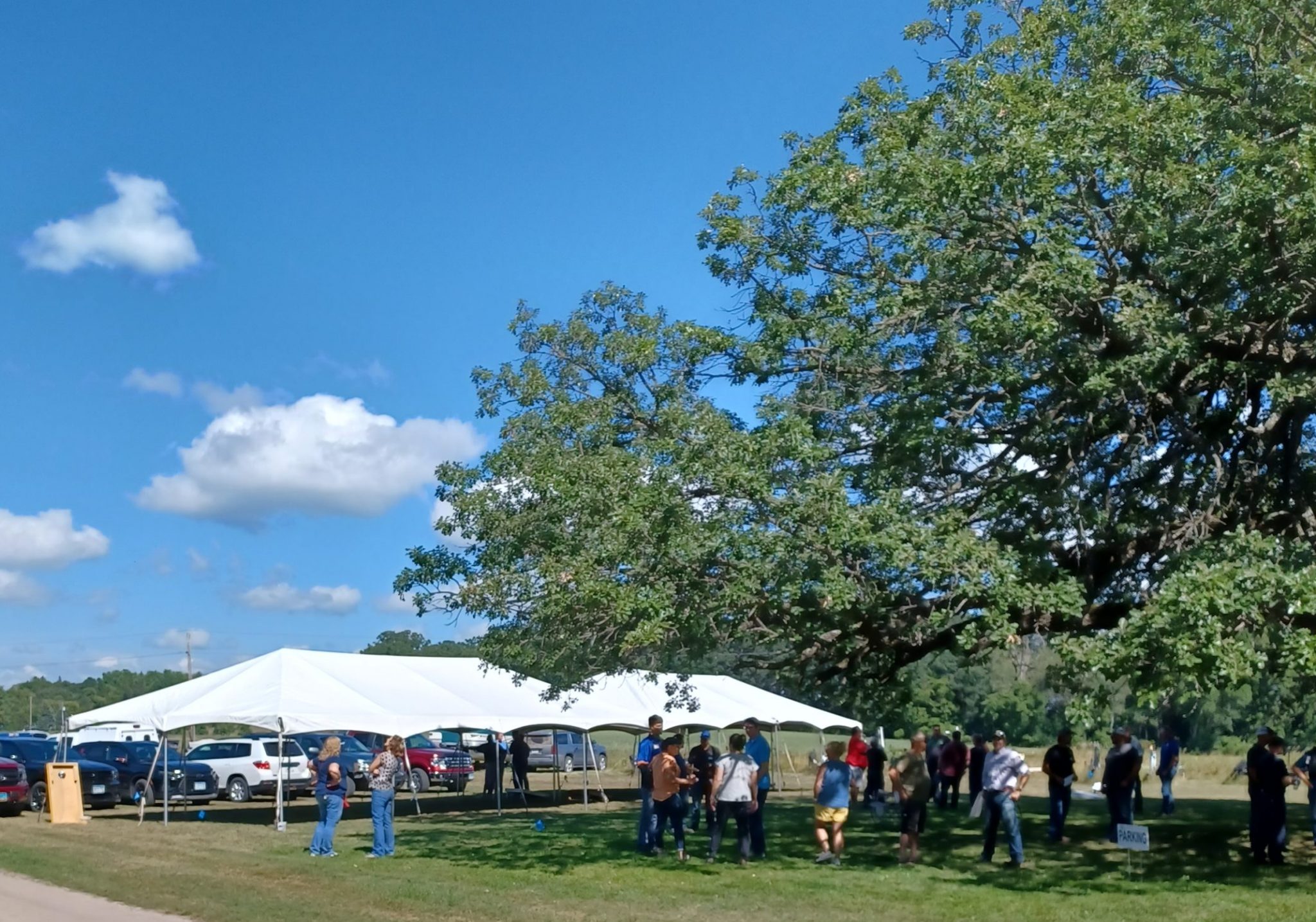 Games under the Oak tree